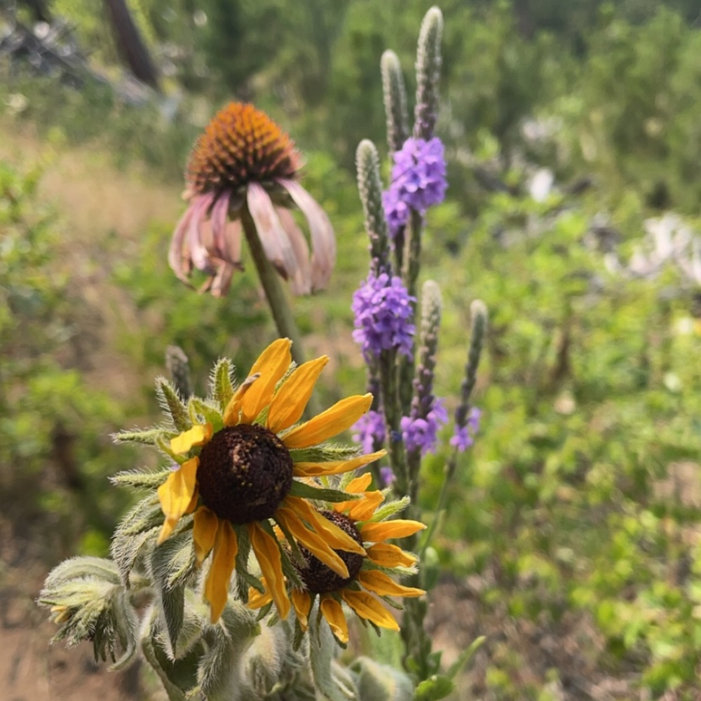 Meet your Posher, Kym